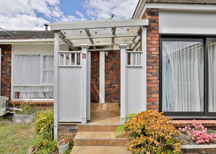  at 3/20 Domett Avenue, Epsom, Auckland