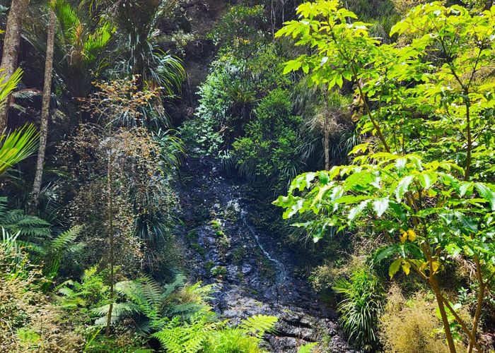  at 1084 Tangowahine Valley Road, Tangowahine, Kaipara, Northland