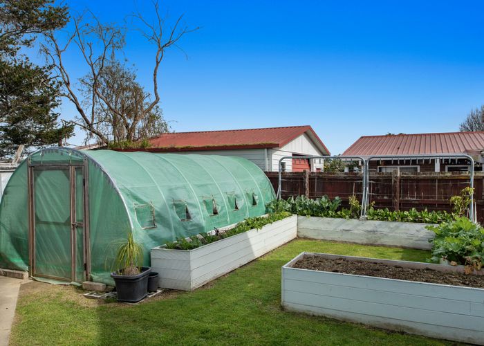  at 3 Awatapu Drive, Whakatane