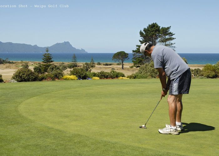  at S0UTH ROAD, Waipu, Whangarei, Northland