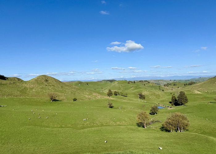  at 515 Ruanui Road, Taihape, Rangitikei, Manawatu / Whanganui