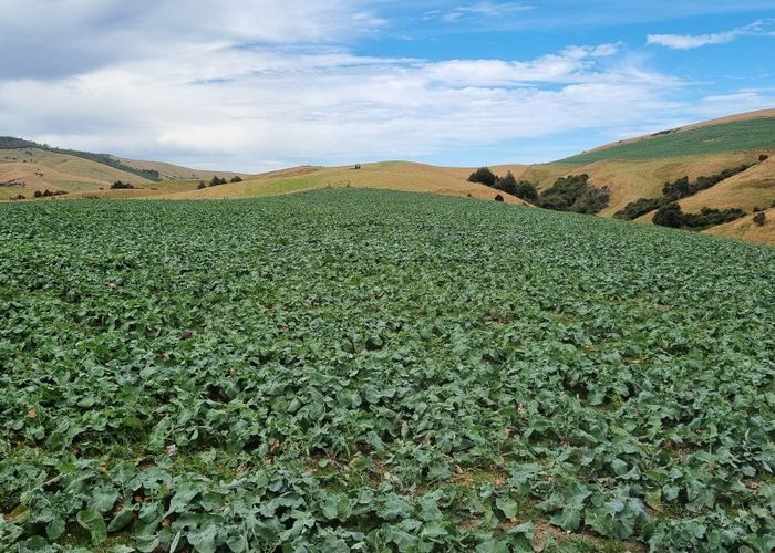  at 2801 Owaka Highway, Owaka, Clutha, Otago