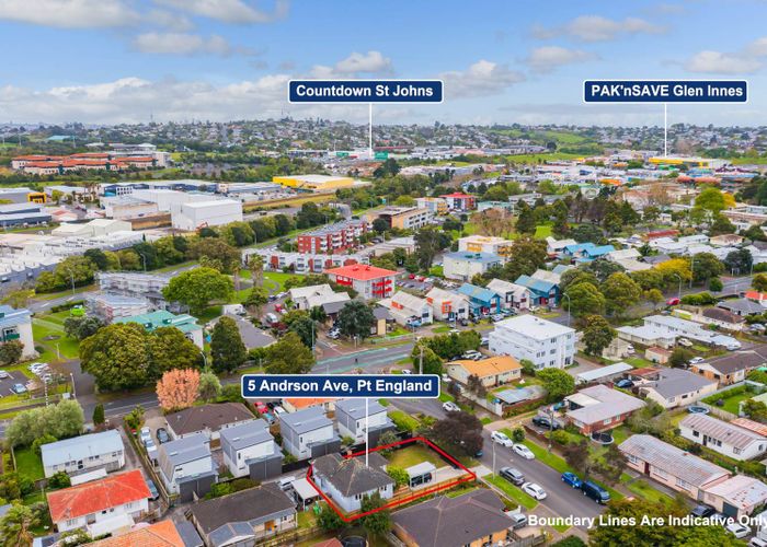  at 5 Anderson Avenue, Point England, Auckland