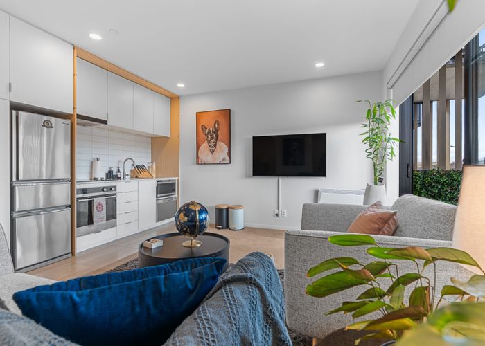  at 108/3 Bluegrey Avenue, Stonefields, Auckland City, Auckland