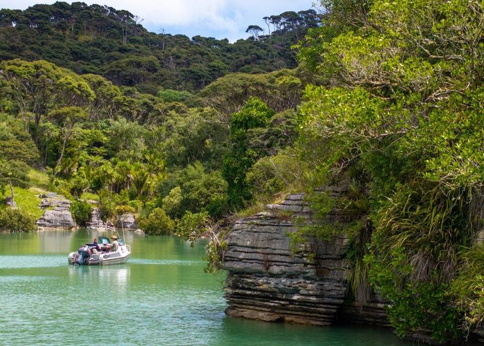  at 505 Te Akau Wharf Road, Te Akau, Waikato, Waikato