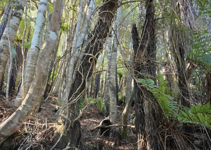  at 7 Rata Street, Stewart Island, Southland, Southland