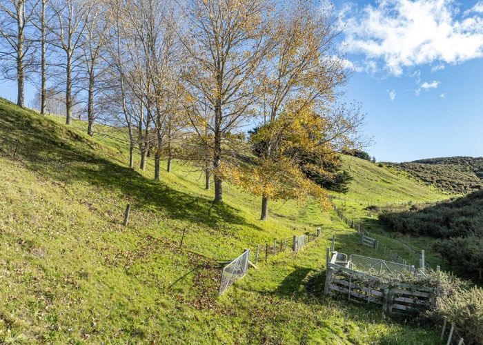  at 70 Pineleigh Drive, Poraiti, Napier, Hawke's Bay