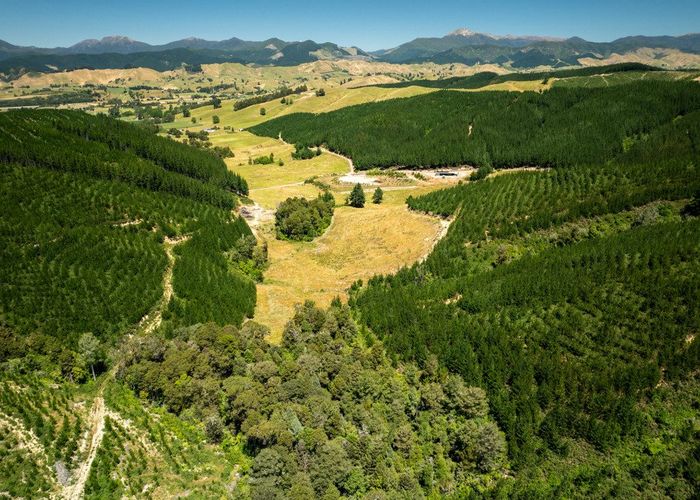  at 240 Teapot Valley Road, Brightwater, Tasman, Nelson / Tasman