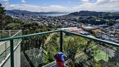 at 2 Pearce Street, Vogeltown, Wellington