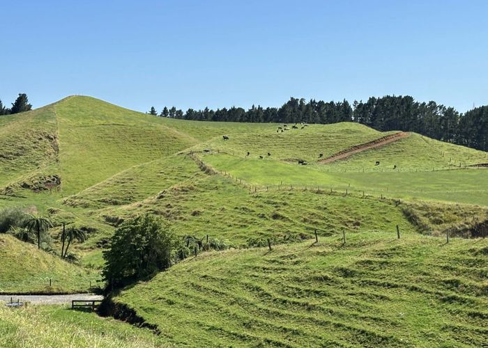  at LOT 3/229 Hurford Road, Hurford, New Plymouth, Taranaki