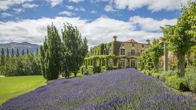  at 196 Lower Shotover Road, Speargrass Flat, Queenstown