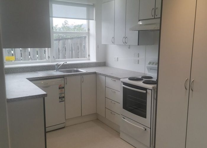  at 20a Carrington St, Mount Cook, Wellington, Wellington