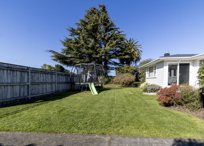  at 151 Limbrick Street, Terrace End, Palmerston North