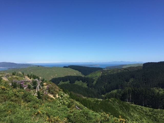  at Lot 8/669 Paekakariki Hill Road, Pauatahanui, Porirua, Wellington
