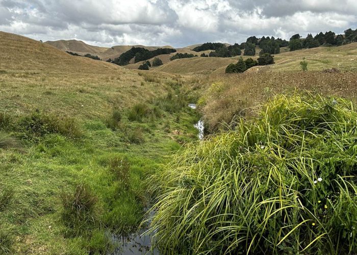  at 39 Bothwell Road, Glen Murray, Waikato, Waikato