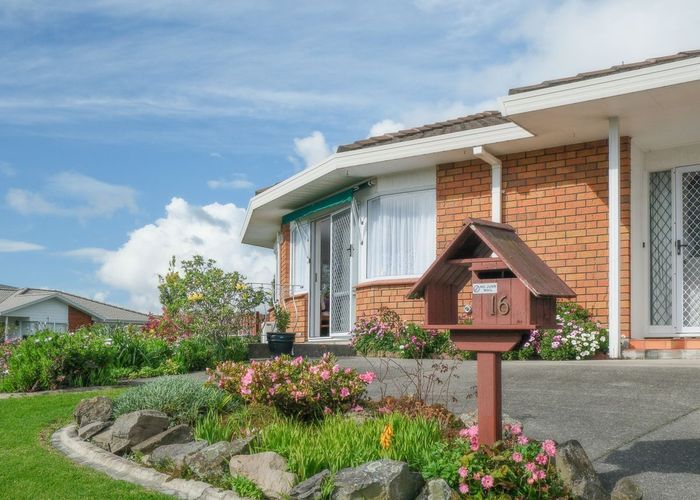 at 16 Tekoah Place, Judea, Tauranga, Bay Of Plenty