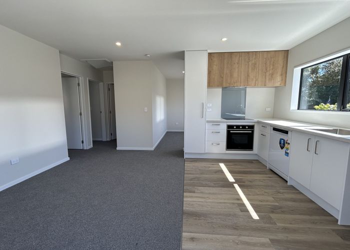  at 45B Ryan Street, Phillipstown, Christchurch City, Canterbury