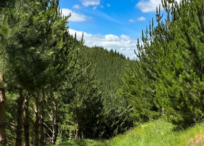  at 0 Pukehuia Road, Tangiteroria, Kaipara, Northland