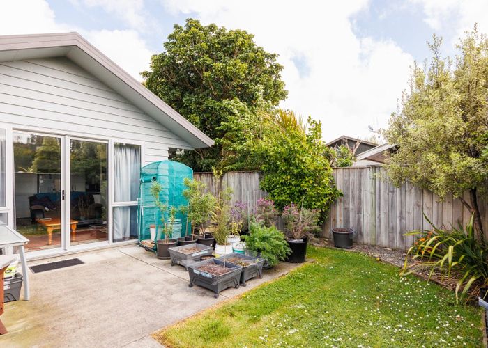  at 49 Weston Avenue, Roslyn, Palmerston North