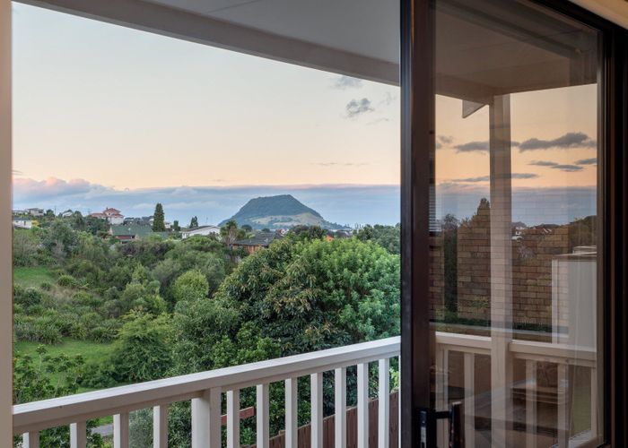  at 50 Hillcrest Road, Otumoetai, Tauranga