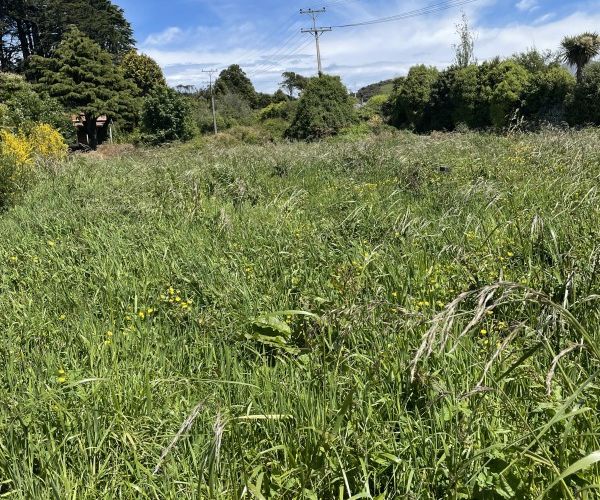  at 22 Antrim Street, Waikawa, Picton