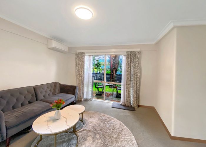  at 17 Patey Street, Epsom, Auckland City, Auckland