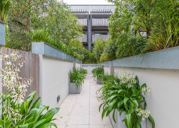  at 305/30 Enfield Street, Mount Eden, Auckland City, Auckland