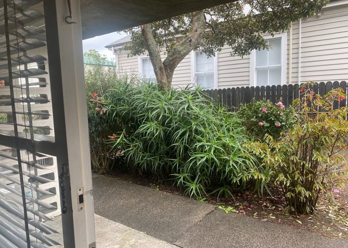  at 14/9 Esplanade road, Mount Eden, Auckland City, Auckland