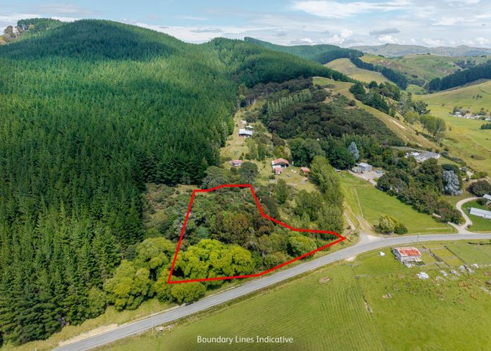  at Lot 1, 4107 Masterton Castlepoint Road, Masterton, Masterton, Wellington