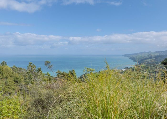  at 111 Tapu Heights Rise, Tapu, Thames-Coromandel, Waikato