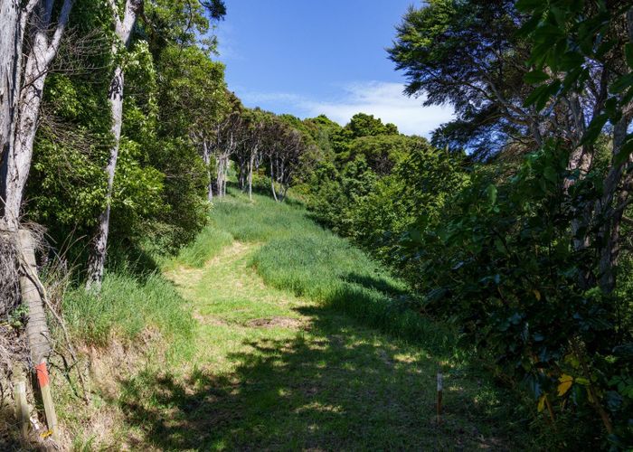  at 24 Fred Hollows Way, Glenleith, Dunedin, Otago