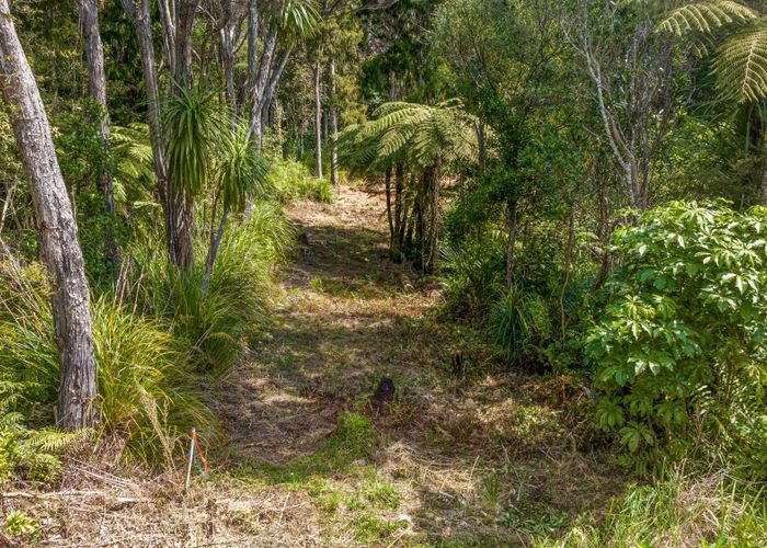  at 252 Piha Road, Piha, Waitakere City, Auckland