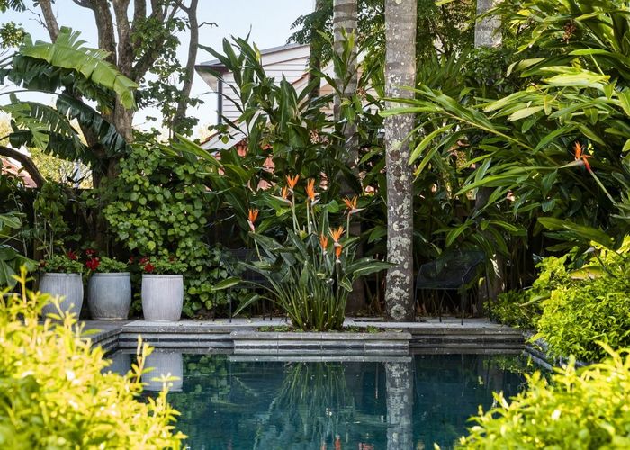  at 44 Valley Road, Mount Eden, Auckland