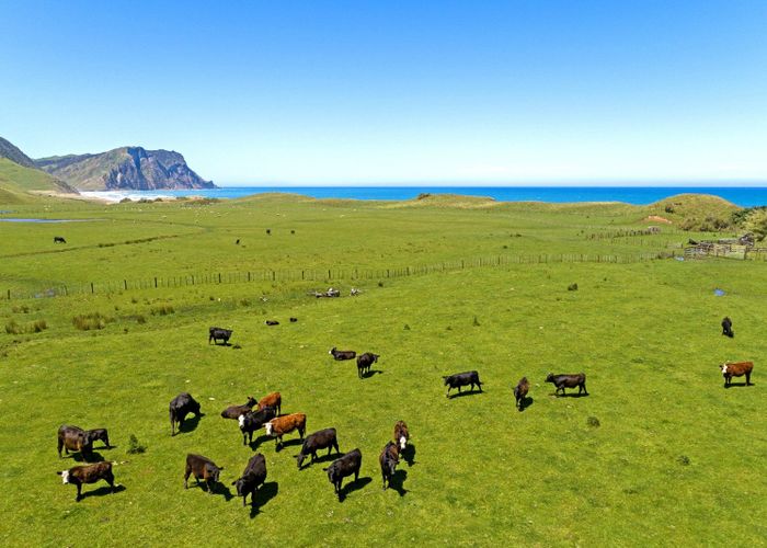  at Waihau Station - 618 Waihau Road, Tolaga Bay, Gisborne, Gisborne