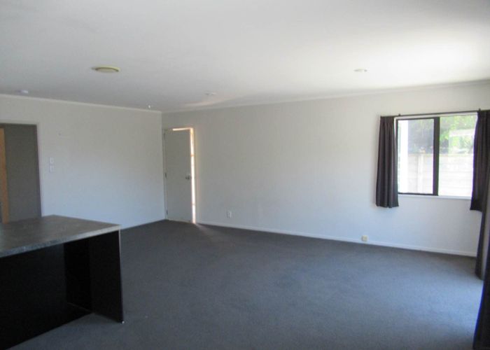  at 14B Wikitoria Street, Maungatapu, Tauranga, Bay Of Plenty
