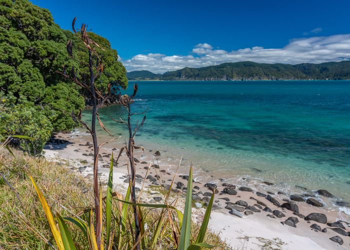 at 190 Pacific Ocean, Slipper Island (Whakahua), Thames, Thames-Coromandel, Waikato