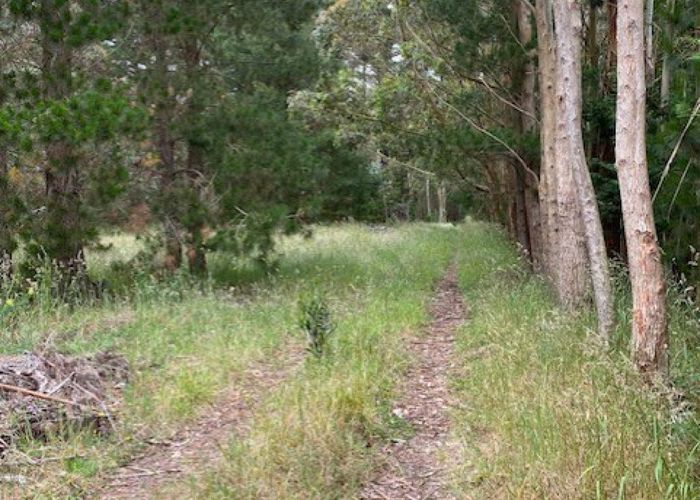  at 270 Motuiti Road, Foxton