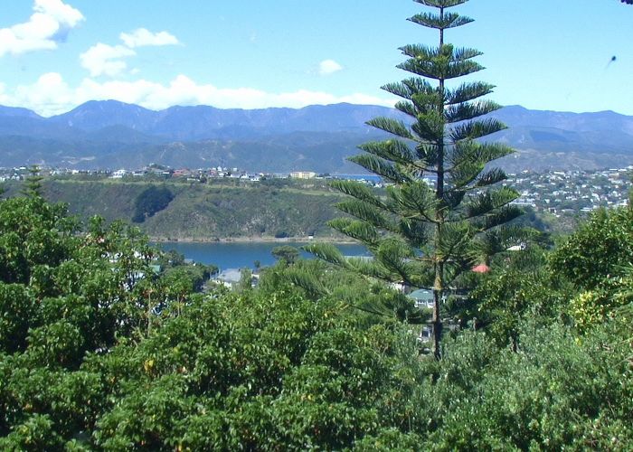  at 60 Marewa Road, Hataitai, Wellington, Wellington