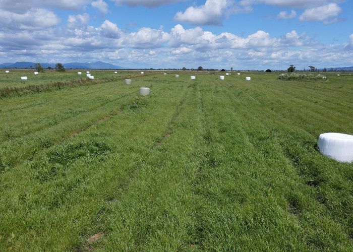  at Pouarua Road, Ngatea, Hauraki, Waikato