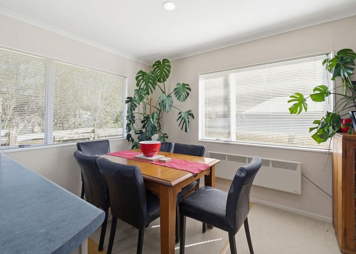  at 14 Escort Grove, Awapuni, Palmerston North