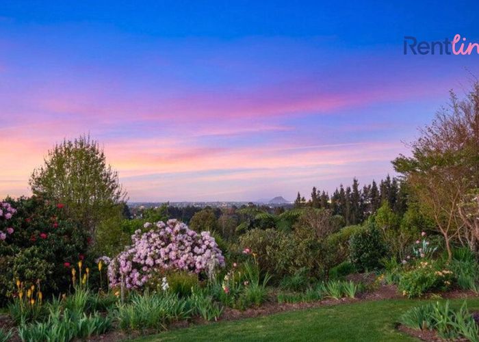  at 497E Joyce Road, Pyes Pa, Tauranga