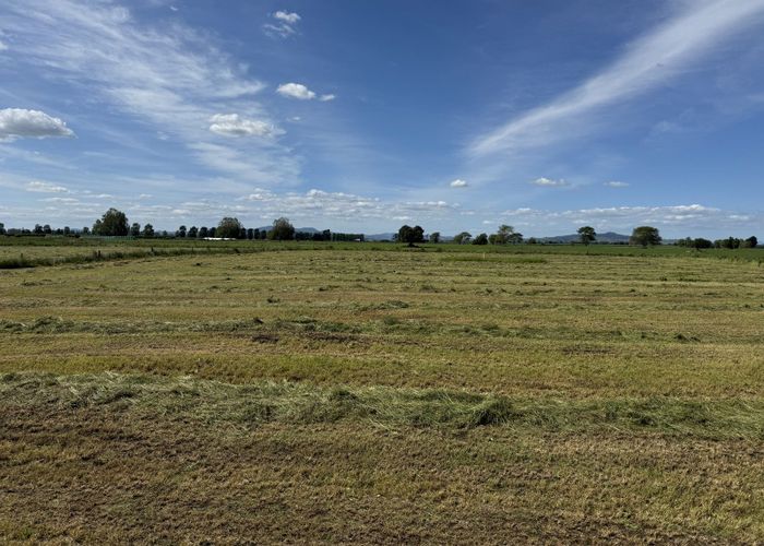  at 495A Piako Road, Gordonton, Hamilton