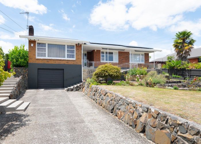  at 4 Thomson Avenue, Dinsdale, Hamilton