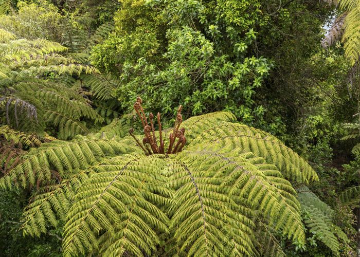  at 2/311 Rangatira Road, Beach Haven, North Shore City, Auckland