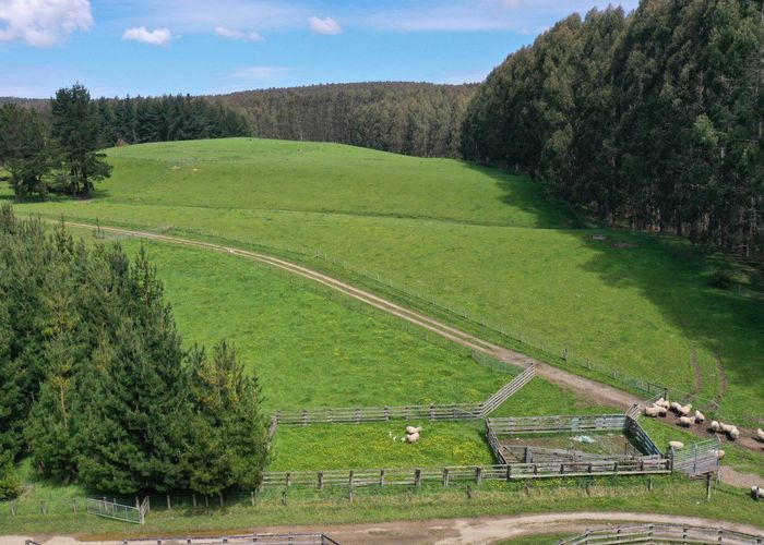  at 46 Wairata Road, Wyndham, Southland, Southland