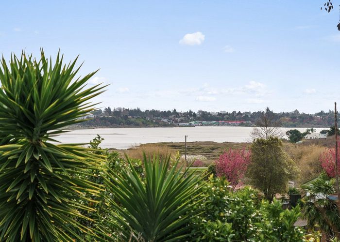  at 101B Ohauiti Road, Hairini, Tauranga, Bay Of Plenty