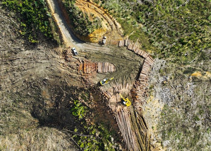  at Highway 22, Ngaruawahia, Waikato, Waikato