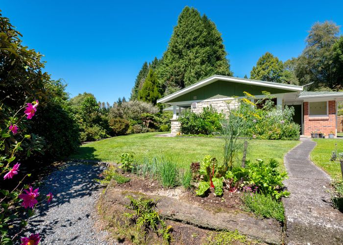  at 569 Paradise Valley Road, Ngongotaha Valley, Rotorua, Bay Of Plenty