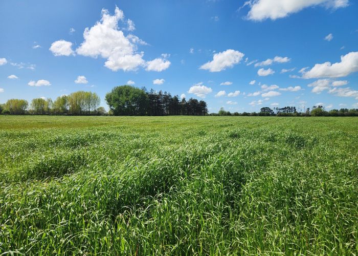  at 431 Horotiu Road, Te Kowhai, Waikato, Waikato