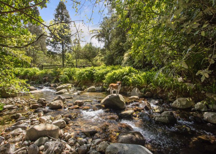  at 397 Busby Road, Tahawai, Katikati